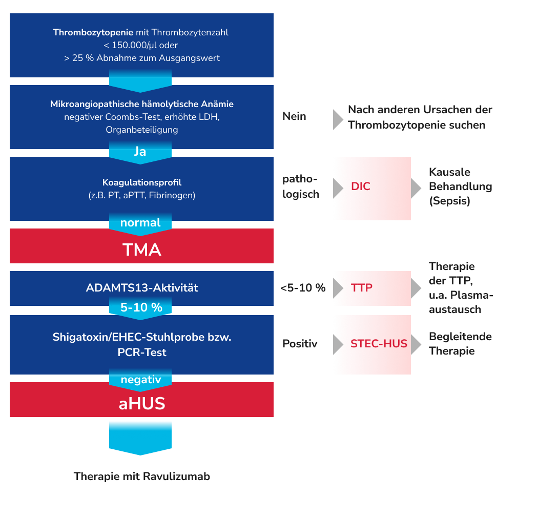 Algorithmus Differentialdiagnose DIC, TTP, STEC-HUS, aHUS