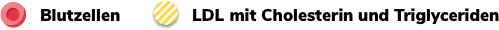 Legende zur Infografik Dyslipidämie: Rote Blutzellen und gelb schraffierte Kreise für LDL mit Cholesterin und Triglyceriden
