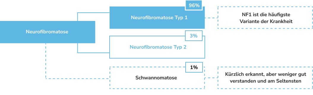 Die bei Weitem häufigste Form von Neurofibromatose ist die Neurofibromatose Typ 1 (NF1) mit 96 %.