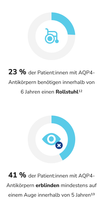 NMOSD-Patient:innen Rollstuhl, Erblinden